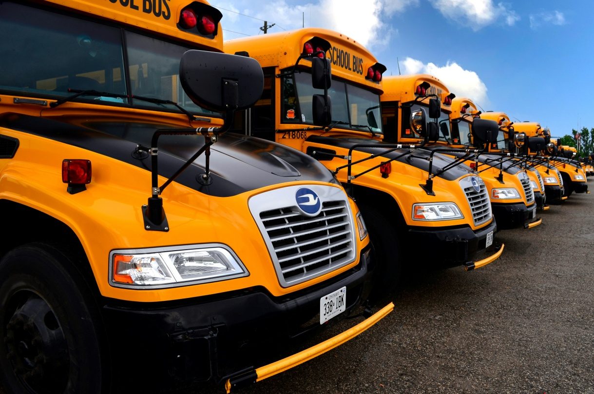 A row of yellow school buses